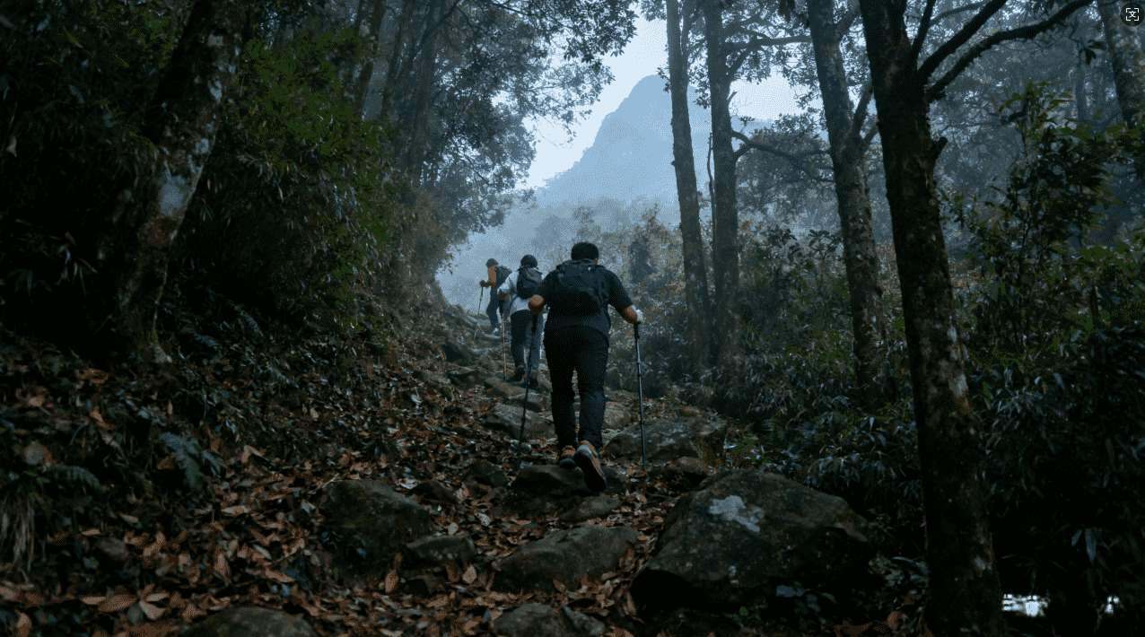 旋风安卓加速器app：提升游戏与网络体验的最佳选择